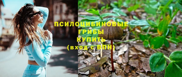 твердый Абинск