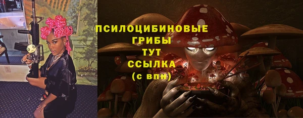 индика Абдулино